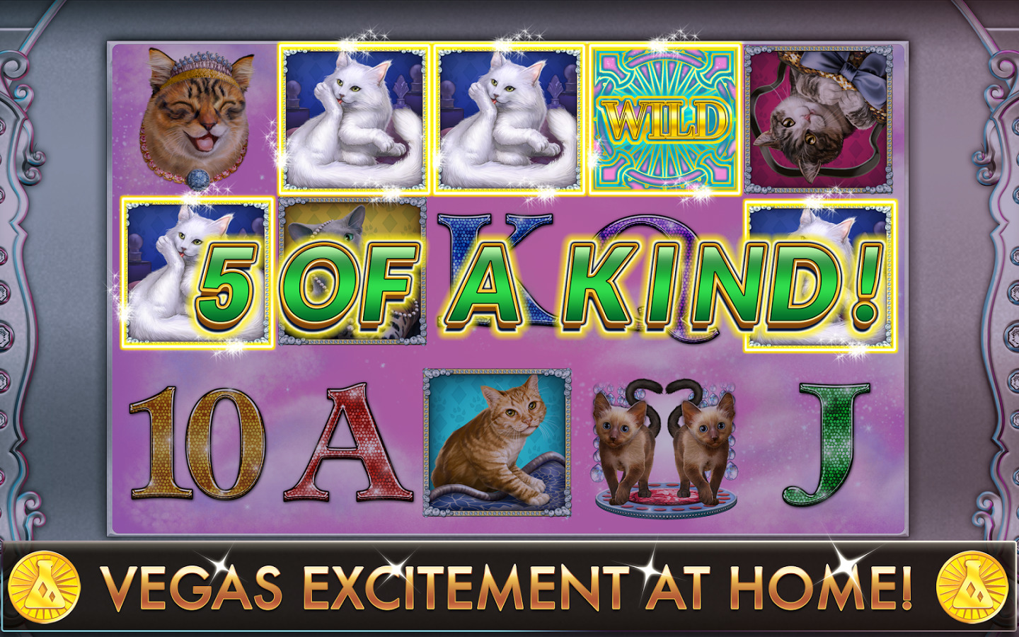 Glitzy Kitty slots winning 5 of a kind