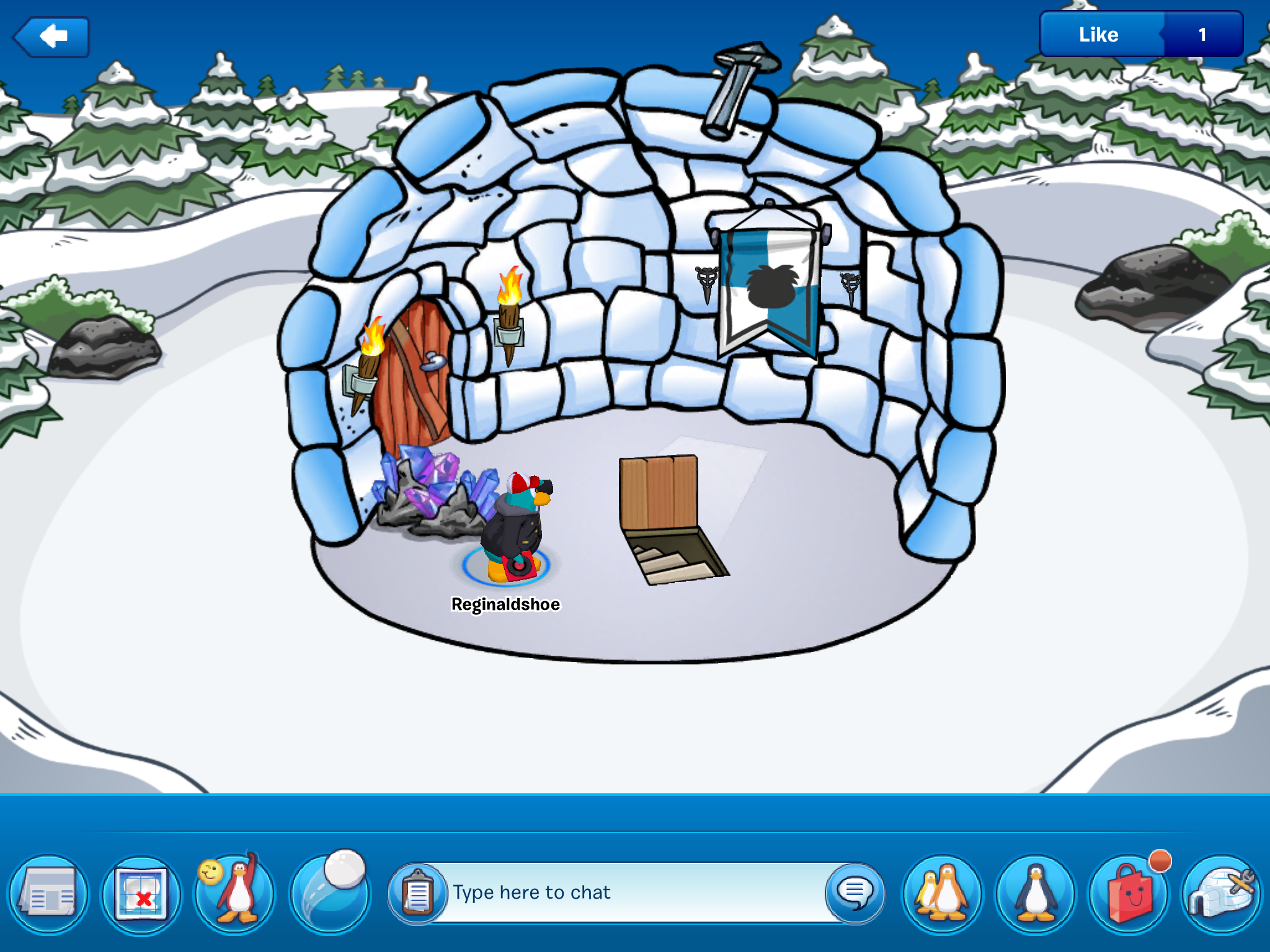 Club Penguin igloo